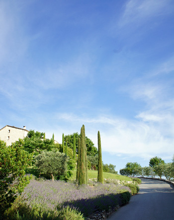 DSC04172.jpg