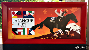 JRA 謹賀新年 2015年 記念品 JRA 謹賀新年 2015年 記念品（2025年最新】Yahoo!オークション