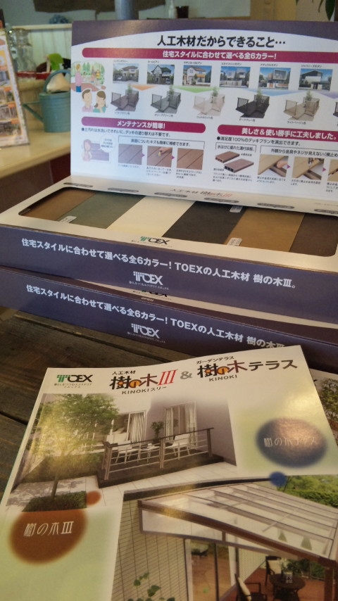 樹の木.JPG