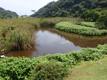 蛇ヶ池