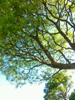 20110828_160656.jpg