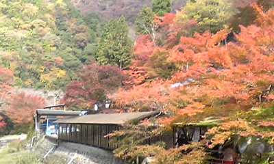 神護寺参道