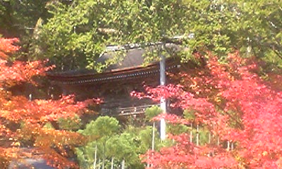 神護寺金堂を望む