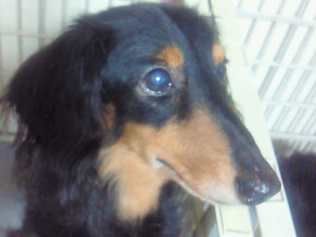 201008081923000.jpg