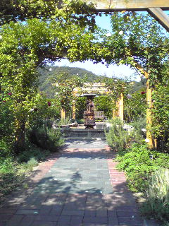 Image320.jpg