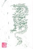 Year Of The Dragon