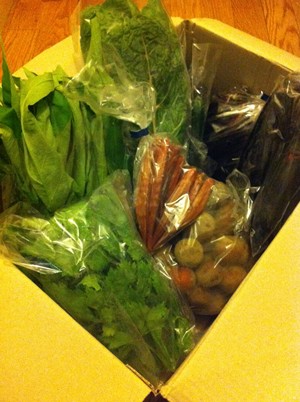 自然野菜のら