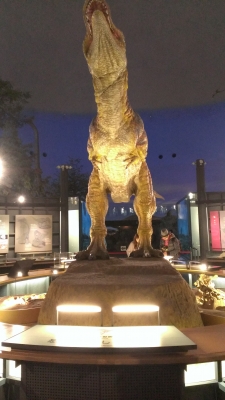 IMAG0049.jpg