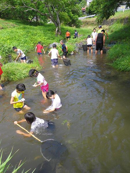 IMGP5865.JPG