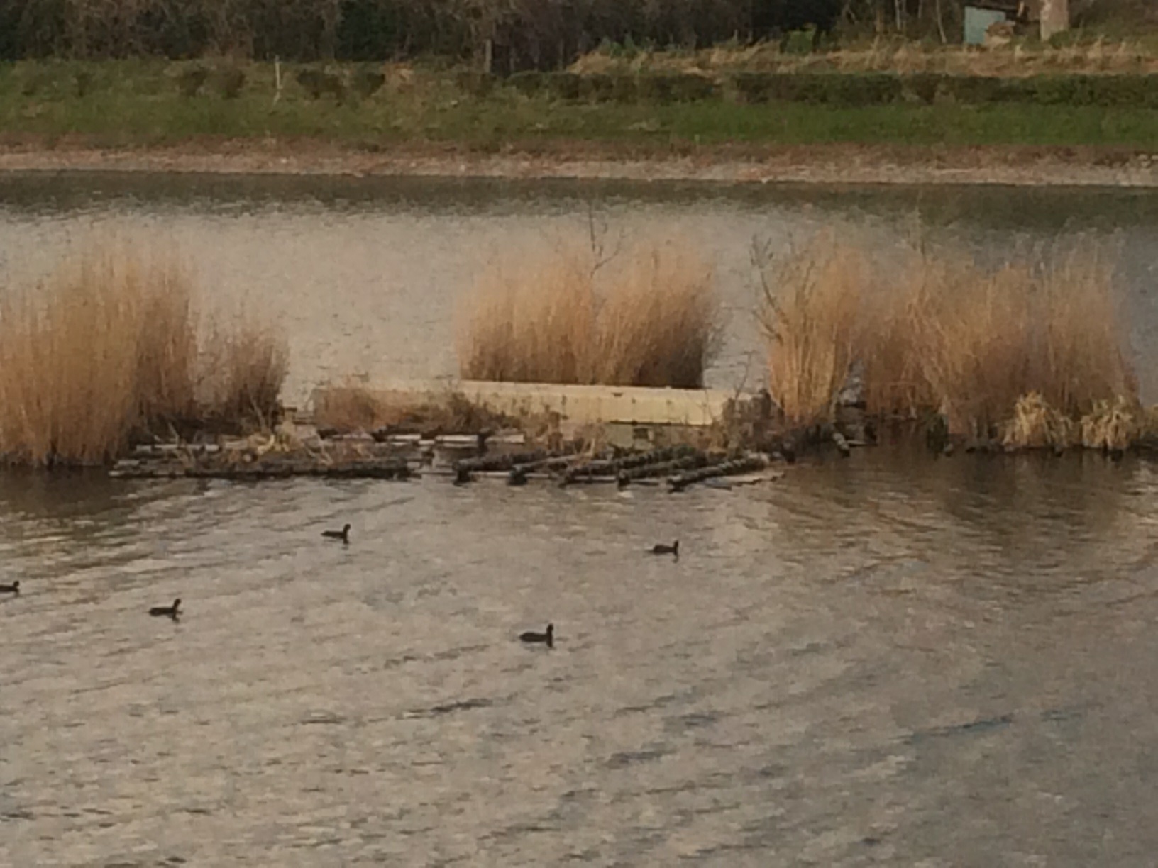 20140404_1.jpg