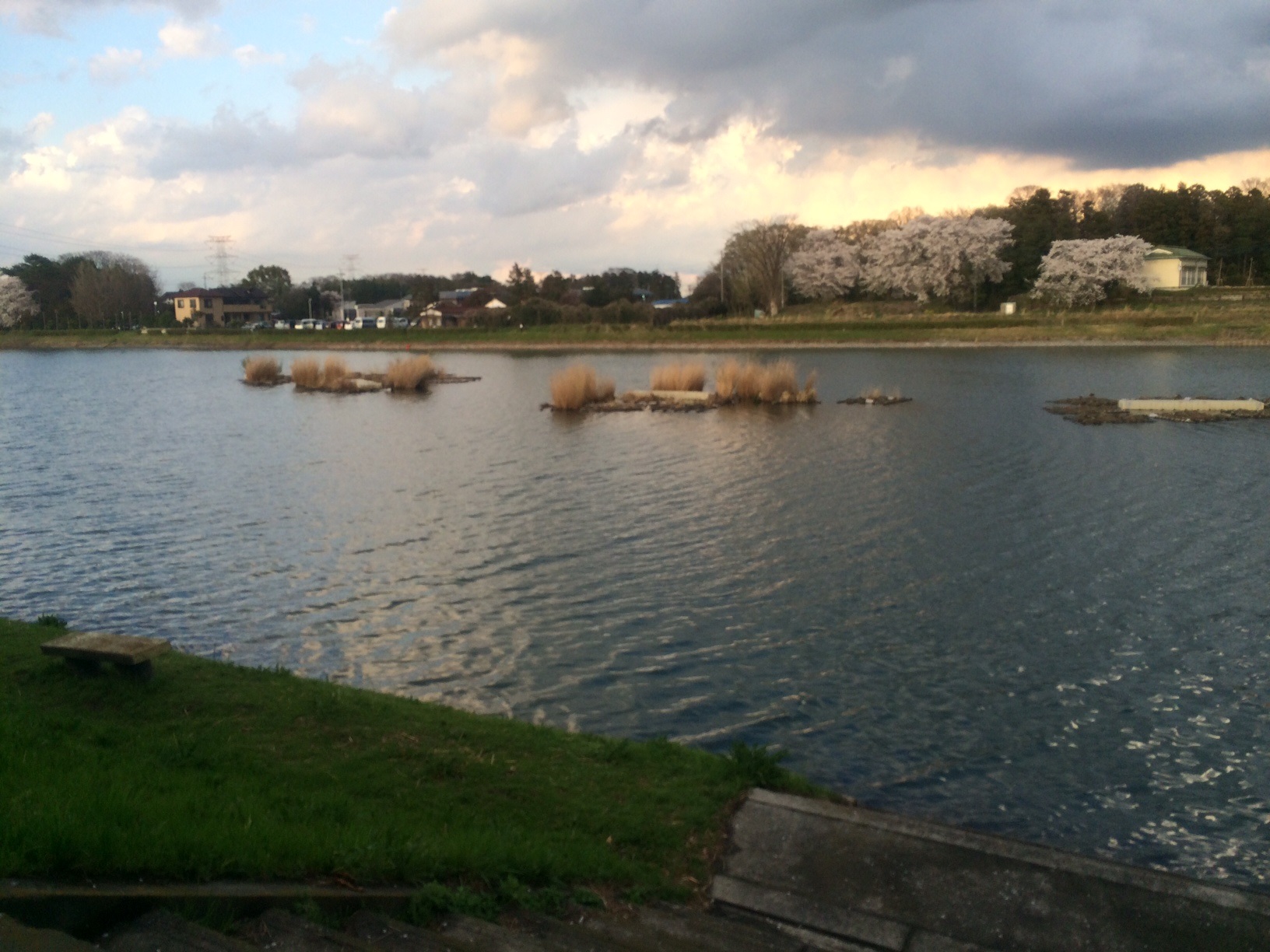 20140404_6.jpg