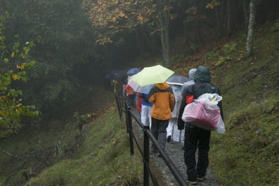 _OSM0695.jpg