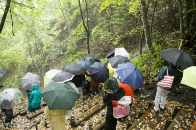 _OSM0700.jpg