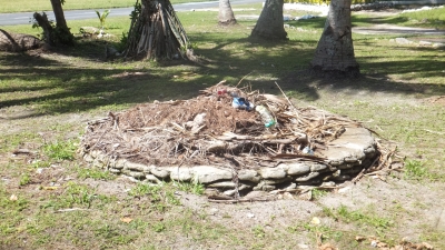 DSCF8503.JPG