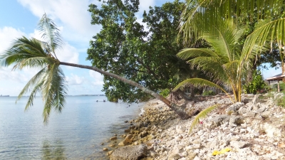 DSCF8735.JPG