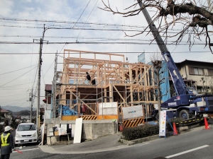 全体