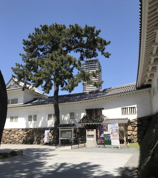 今回出展しているシャドーボックスは、切り絵工房craftsmanと