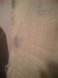 110228_154938.jpg