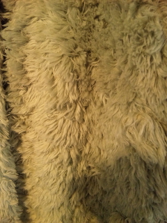 110601_141437.jpg
