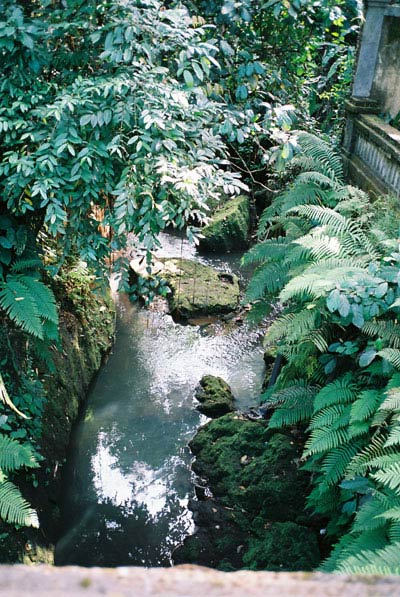 pertiwi