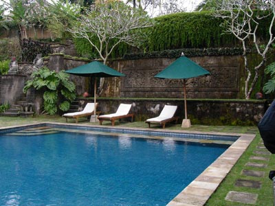pertiwi