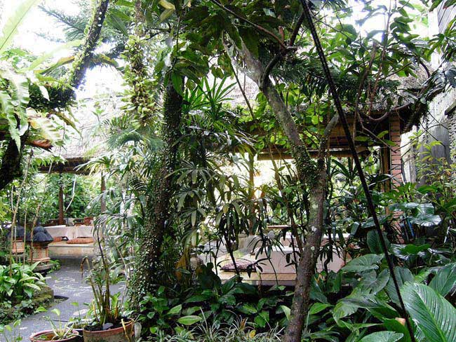 ubud-bali