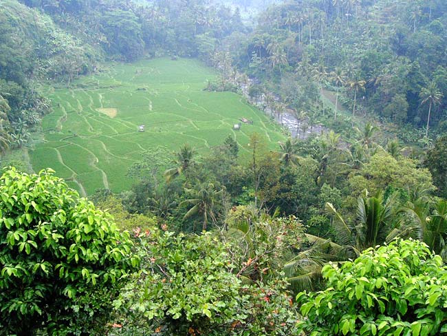 ubud-bali