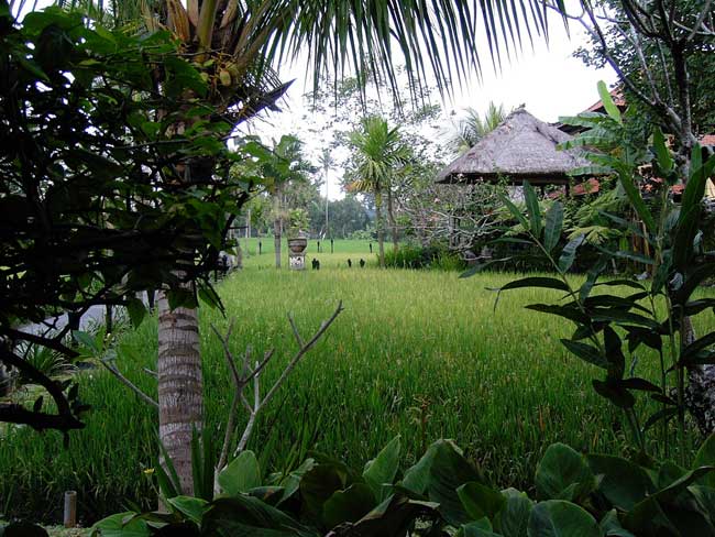 ubud-bali