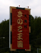 きのこ王国