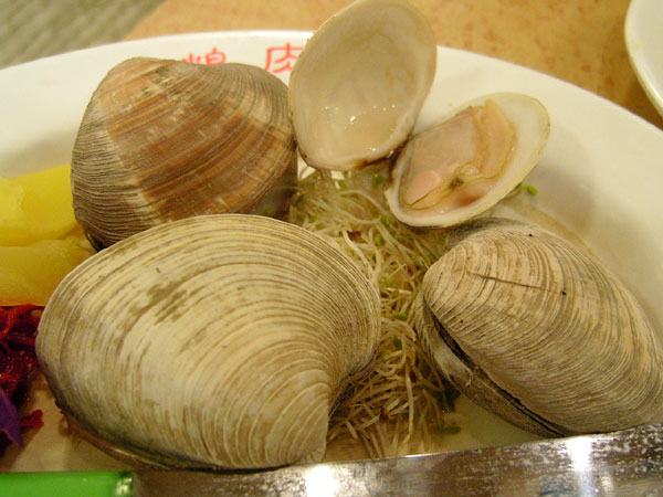 鴨肉城