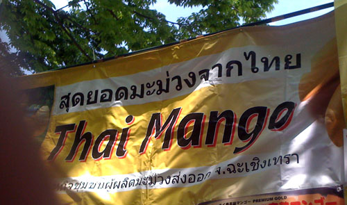 タイフェステイバル2010