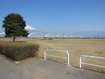 富士川緑地会場.JPG