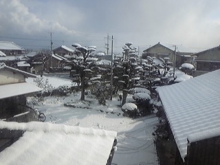 100113_100716_ed.jpg