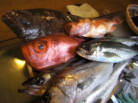境港の魚介