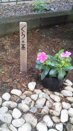 2011102808470000.jpg