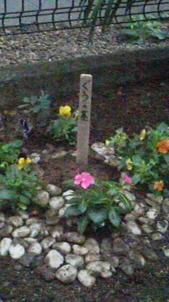 2011110416510000.jpg