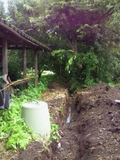 2010072914180000.jpg