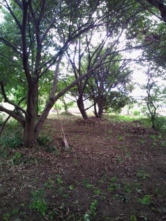2010091215160000.jpg