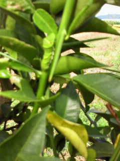 2010101814110000.jpg