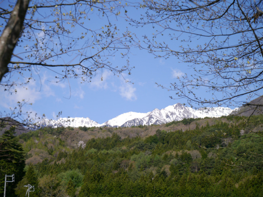 P1380437.jpg