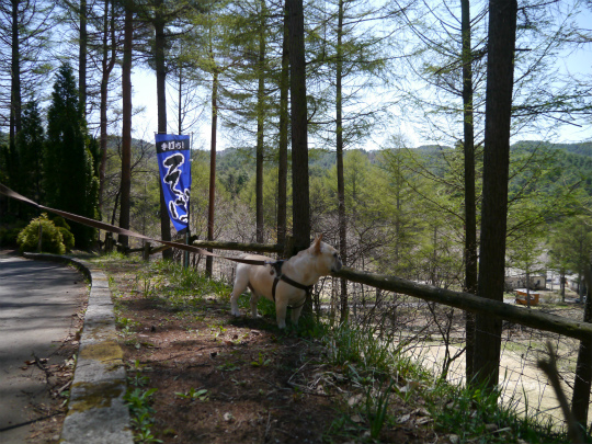 P1380537.jpg