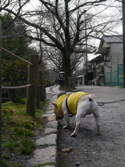 P1510239.jpg