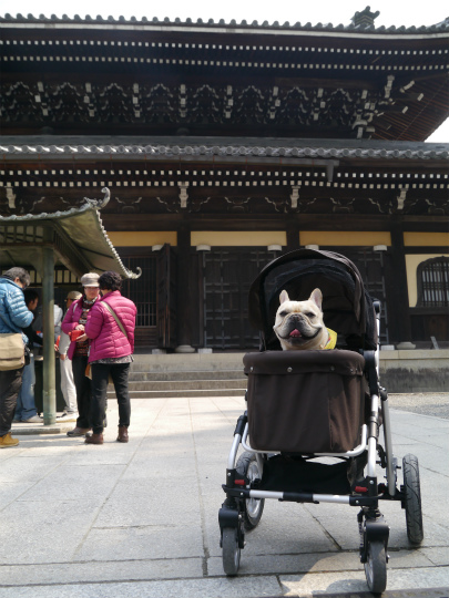 P1510296.jpg