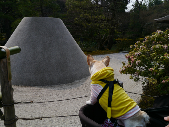 P1510185.jpg