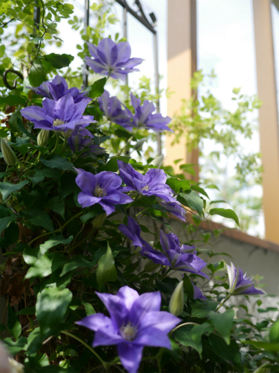 P1520148.jpg