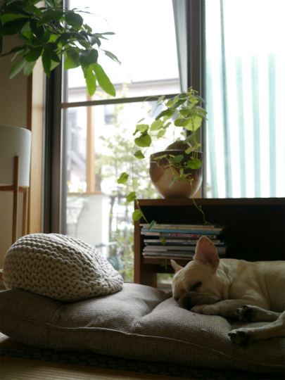 P1530536.jpg