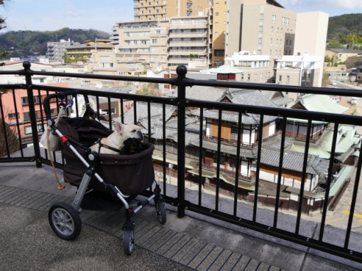 P1000467.jpg