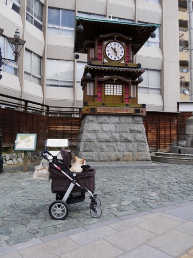 P1000500.jpg
