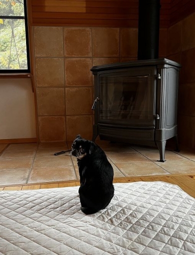 ストーブ色々 | ピカゴロ日記