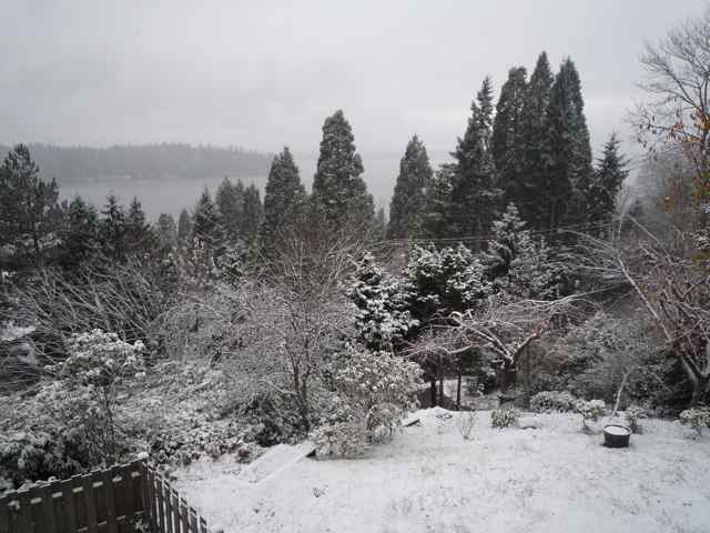 シアトル雪